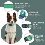 Roses&Poetry Bluegreen Small Dog Collar and Leash Set, Puppy Reflective Leashes with Collars, Adjustable Durable Matching Collar Leash for Small Dogs Girl (Bluegreen-XS) - Image 2