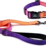 Roses&Poetry Reflective Small Dog Collar and Leash Set, Puppy Personalized Boy and Girl Collar with Leash, Adjustable Nylon Durable Pet Matching Collars Leashes for Small Puppies（Mistyrose-S
