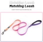 Roses&Poetry Reflective Small Dog Collar and Leash Set, Puppy Personalized Boy and Girl Collar with Leash, Adjustable Nylon Durable Pet Matching Collars Leashes for Small Puppies（Mistyrose-S - Image 2