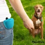 RoyalCare Silicone Dog Treat Pouch-Small Training Bag-Portable Dog Treat Bag for Leash with Magnetic Closure and Waist Clip[US Design Patent] - Image 2