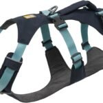 Ruffwear, Flagline Dog Body Harness, Basalt Gray, Large/X-Large