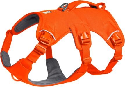 Ruffwear, Web Master Dog Body Harness, Blaze Orange, Medium