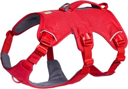 Ruffwear, Web Master Dog Body Harness, Red Canyon, Large/X-Large