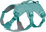 Ruffwear, Web Master Dog Body Harness, River Rock Green, Large/X-Large
