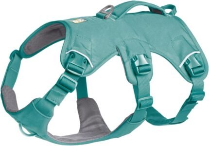 Ruffwear, Web Master Dog Body Harness, River Rock Green, Large/X-Large