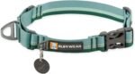 Ruffwear, Web Reaction Martingale Dog Collar, River Rock Green, 17"-20"