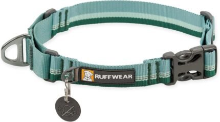 Ruffwear, Web Reaction Martingale Dog Collar, River Rock Green, 17″-20″