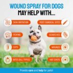 SILVER GRADE Dog Wound Spray Helps with Hot Spots, Irritations, Bites, Burns, Rashes, Itch, Scratching – Better Use with a Dog Cone to Stop Licking – Safe for Large and Small Breeds – 4 oz - Image 2