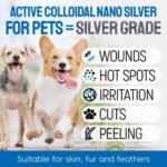 SILVER GRADE Wound Spray for Pets – Colloidal Silver Wound Care for Dogs & Cats – Helps with Skin Irritation, Hot Spots, Rashes, Scratching, Itch, Bites & Burns – Use a Dog Cone – 4 oz - Image 2