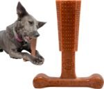 SPOT Bam-Bones Plus T-Bone Dog Chew, Beef, 6in, 30-60 lb Heavy Chewers