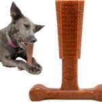SPOT Bam-Bones Plus T-Bone Dog Chew, Beef, 6in, 30-60 lb Heavy Chewers