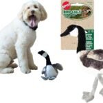 SPOT Bird Calls Plush Dog Toy with Realistic Bird Sound – 12″ Sound Chip Toy for Dogs, One of Three Assorted Styles, Engaging Indoor Play for Small and Medium Breeds