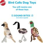 SPOT Bird Calls Plush Dog Toy with Realistic Bird Sound – 12" Sound Chip Toy for Dogs, One of Three Assorted Styles, Engaging Indoor Play for Small and Medium Breeds - Image 2