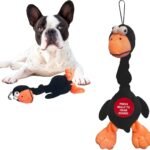 SPOT Chirpies Plush Dog Toy – Bird Sound Squeaky Toy for Small and Medium Dogs, Light to Moderate Chewers, Stretchy Bungee Neck, Recycled Stuffing – 14 in, Assorted Styles