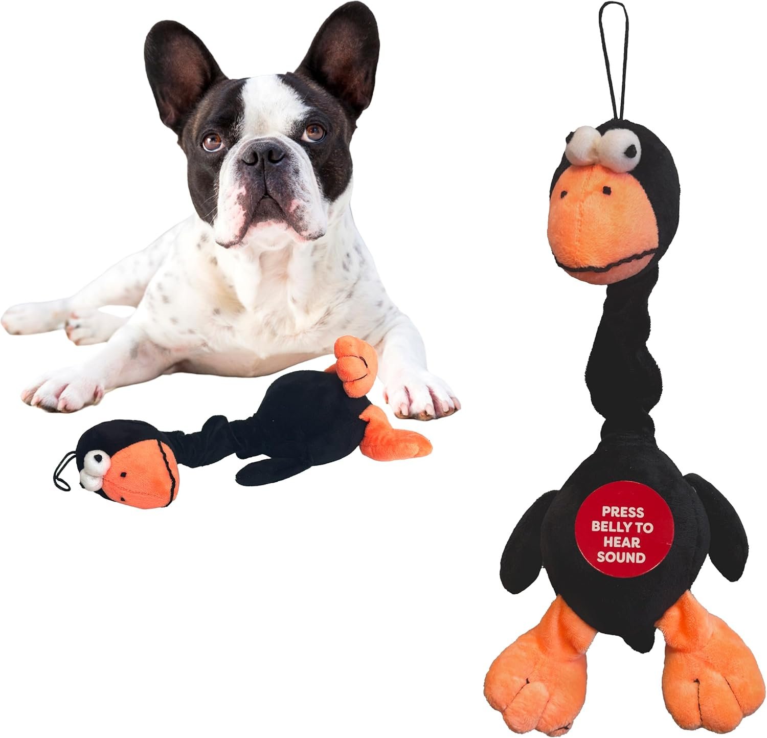 SPOT Chirpies Plush Dog Toy – Bird Sound Squeaky Toy for Small and Medium Dogs, Light to Moderate Chewers, Stretchy Bungee Neck, Recycled Stuffing – 14 in, Assorted Styles SPOT Chirpies Plush Dog Toy – Bird Sound Squeaky Toy for Small and Medium Dogs, Light to Moderate Chewers, Stretchy Bungee Neck, Recycled Stuffing – 14 in, Assorted Styles