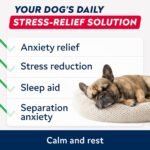 STRELLALAB Hemp Calming Chews for Dogs - Stress, Anxiety Relief Treats - Image 2