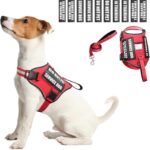 Service Dog Harness and Leash Set, Training Dog Vest with 10 Dog Patches, Emotional Support Therapy Dog Vest Harness for Small Medium Large and Extra Large Dogs(Red, S)