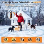 Shock Collar for 2 Dogs with Light Waterproof 2 Pack Remote Training Collar - Image 2