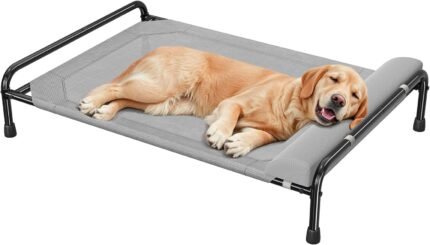 Simple Trending Elevated Dog Bed for Large Dogs, 44.5" x 31", Grey
