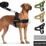 SlowTon No Pull Dog Harness and Leash Set – Heavy Duty, Soft Padded