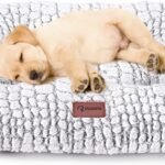 Small Dog Bed Crate Bed for Small Dogs 24″x18″ Dog Bed Mat White