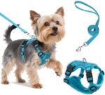Small Dog Harness and Leash Set, Adjustable Small Sized Pet Vest