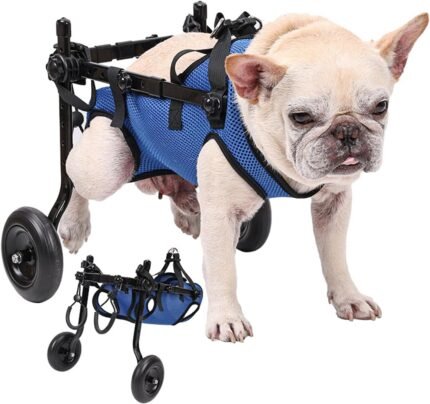 Small Dog Wheelchair for Back Legs - Adjustable Mobility Aid for Disabled Pets, Leg Brace and Hip Support S