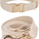 Soft Corduroy Dog Collar and Leash Set Adjustable Durable Wedding Dog Collars with Metal Buckle and Lead for Medium Dogs,Beige