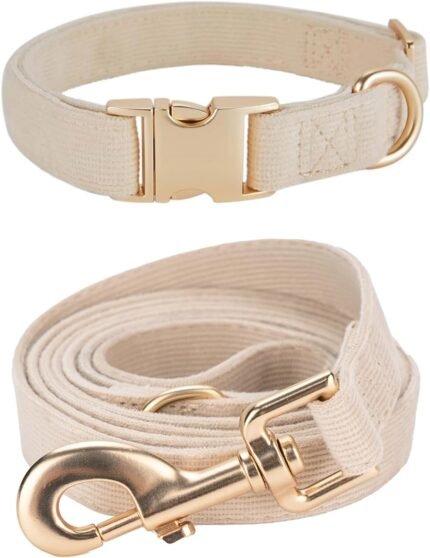 Soft Corduroy Dog Collar and Leash Set Adjustable Durable Wedding Dog Collars with Metal Buckle and Lead for Medium Dogs,Beige