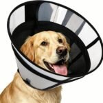 Soft Transparent Dog Cone Collar, Depth Adjustable Recovery Cone