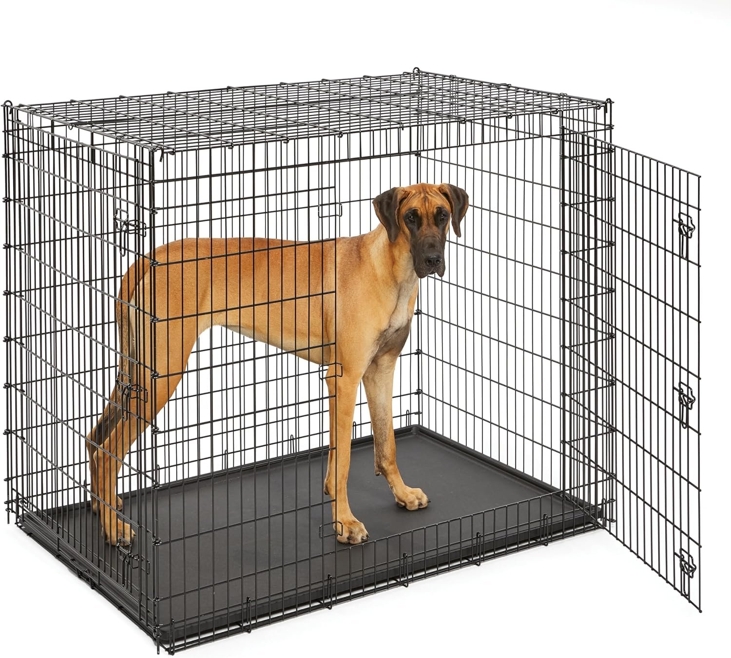 Solutions by Midwest 54-Inch Double Door Crate, Giant Breed Dogs, 100+ lbs Solutions by Midwest 54-Inch Double Door Crate, Giant Breed Dogs, 100+ lbs
