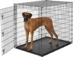 Solutions by Midwest 54-Inch Single Door Crate, Giant Breed Dogs, 100+ lbs