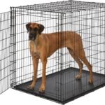 Solutions by Midwest 54-Inch Single Door Crate, Giant Breed Dogs, 100+ lbs
