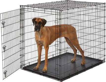 Solutions by Midwest 54-Inch Single Door Crate, Giant Breed Dogs, 100+ lbs