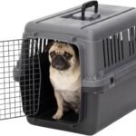 SportPet Airline Compliant Small 24″ Travel Dog Kennel – Durable Plastic Airline Pet Carrier (No Wheels) & Food Bowls, Collapsible Indoor/Outdoor Dog Kennel, Dogs up to 21″ L & 13″ H – Dark Gray