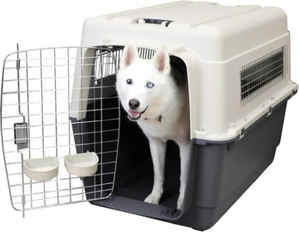 SportPet Airline Compliant XX-LARGE 39" Travel Dog Kennel-Durable Plastic Airline Pet Carrier w/ Removable Wheels & Food Bowls, Collapsible Indoor/Outdoor Dog Kennel, Dogs up to 36"L & 27"H-Cream/Gray