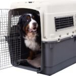 SportPet Airline Compliant XXX-LARGE 48″ Travel Dog Kennel-Durable Plastic Airline Pet Carrier w/Removable Wheels & Food Bowls, Collapsible Indoor/Outdoor Dog Kennel, Dogs up to 44″L & 33″H-Cream/Gray