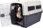 SportPet Airline Compliant XXX-LARGE 48" Travel Dog Kennel-Durable Plastic Airline Pet Carrier w/Removable Wheels & Food Bowls, Collapsible Indoor/Outdoor Dog Kennel, Dogs up to 44"L & 33"H-Cream/Gray
