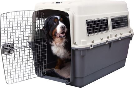 SportPet Airline Compliant XXX-LARGE 48" Travel Dog Kennel-Durable Plastic Airline Pet Carrier w/Removable Wheels & Food Bowls, Collapsible Indoor/Outdoor Dog Kennel, Dogs up to 44"L & 33"H-Cream/Gray