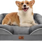 Spotted Play Orthopedic Dog Bed with Sides – Dog Sofa Beds for Medium Dogs, Supportive Foam Pet Couch Bed with Washable Removable Cover, Waterproof Lining and Non-Slip Bottom, Grey – M