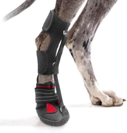 Strap-On Drop Foot Brace (No Knuckling Boot Brace) for Dogs, XL