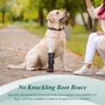 Strap-On Drop Foot Brace (No Knuckling Boot Brace) for Dogs, XL - Image 2