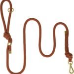 Sunraymascota 5FT Dog Leash Puppy Cat Rope Lead for Small Medium Large Dogs