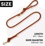 Sunraymascota 5FT Dog Leash Puppy Cat Rope Lead for Small Medium Large Dogs - Image 2