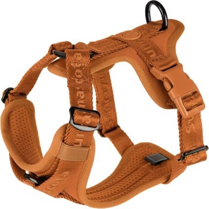 Sunraymascota Dog Harness,Soft Lycra Puppy Vest for Medium Sized Dogs