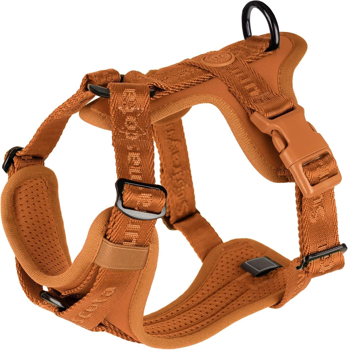 Sunraymascota Dog Harness,Soft Lycra Puppy Vest for Small Sized Dogs Sunraymascota Dog Harness,Soft Lycra Puppy Vest for Small Sized Dogs