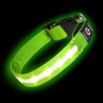 Super Bright LED Dog Collar, Waterproof Light up Collars(Green, Large)