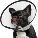 Supet Adjustable Dog Cone Collar After Surgery to Stop Licking,E Collar for Medium Small Dogs, Pet Recovery Collar & Cone,Plastic Cone of Shame for Dogs, Dog Head Neck Cone (S-)