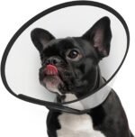 Supet Adjustable Dog Cone Collar After Surgery to Stop Licking,E Collar for Medium Small Dogs, Pet Recovery Collar & Cone,Plastic Cone of Shame for Dogs, Dog Head Neck Cone (S-)
