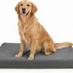 Sytopia 42 Inch XL Durable Canvas Dog Bed for Large Dogs, Waterproof Canvas Orthopedic Pet Bed with Washable Removable Cover & Non-Slip Bottom, Outdoor Use, Dark Grey